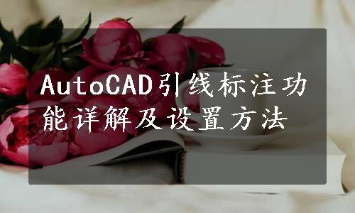 AutoCAD引线标注功能详解及设置方法