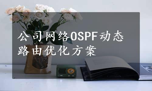 公司网络OSPF动态路由优化方案