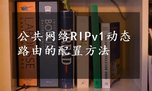 公共网络RIPv1动态路由的配置方法