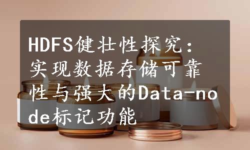 HDFS健壮性探究：实现数据存储可靠性与强大的Data-node标记功能