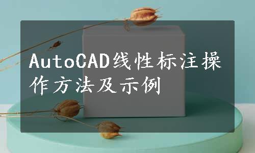 AutoCAD线性标注操作方法及示例