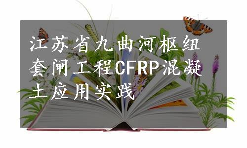江苏省九曲河枢纽套闸工程CFRP混凝土应用实践