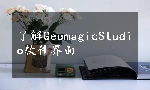 了解GeomagicStudio软件界面