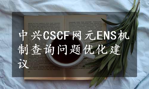 中兴CSCF网元ENS机制查询问题优化建议