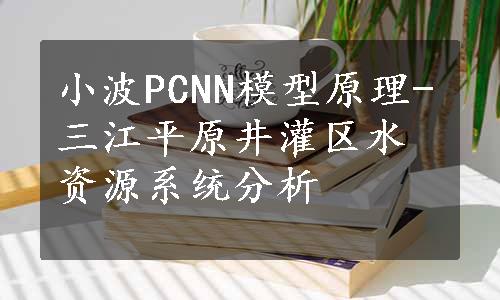 小波PCNN模型原理-三江平原井灌区水资源系统分析