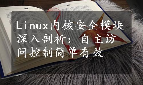 Linux内核安全模块深入剖析：自主访问控制简单有效