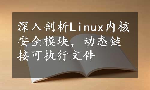 深入剖析Linux内核安全模块，动态链接可执行文件