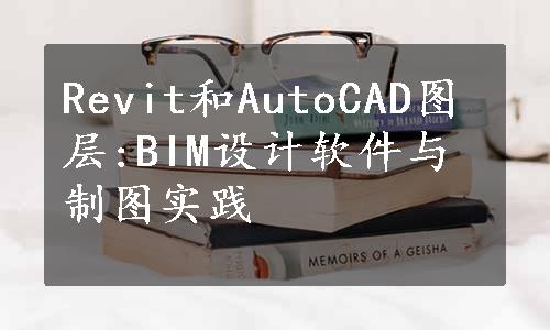 Revit和AutoCAD图层:BIM设计软件与制图实践