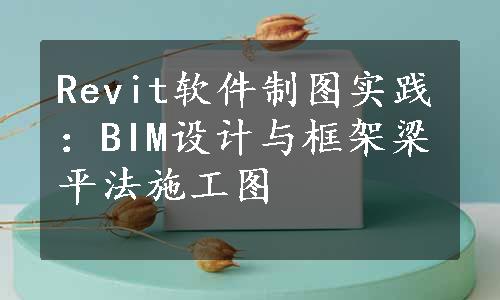 Revit软件制图实践：BIM设计与框架梁平法施工图