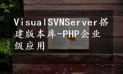 VisualSVNServer搭建版本库-PHP企业级应用