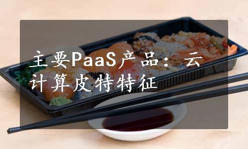 主要PaaS产品：云计算皮特特征