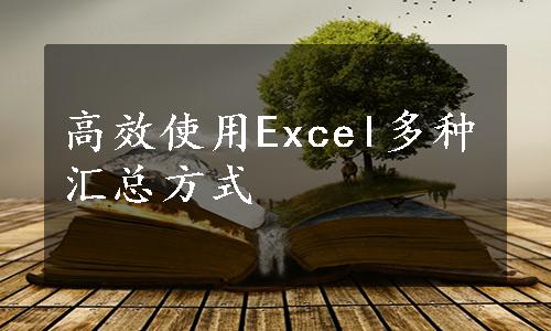 高效使用Excel多种汇总方式