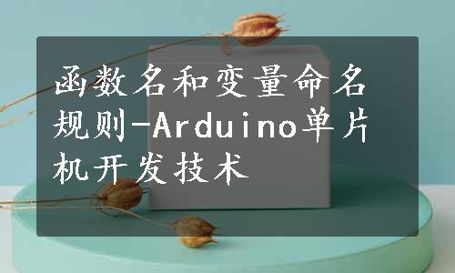 函数名和变量命名规则-Arduino单片机开发技术