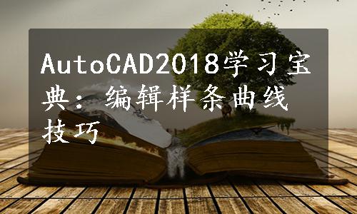 AutoCAD2018学习宝典：编辑样条曲线技巧