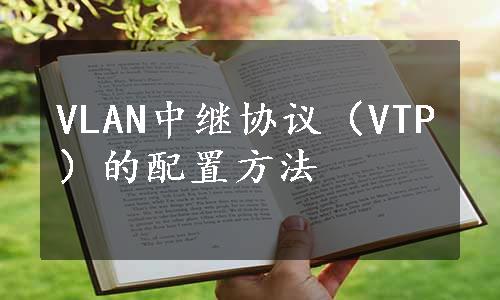 VLAN中继协议（VTP）的配置方法