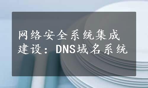 网络安全系统集成建设：DNS域名系统