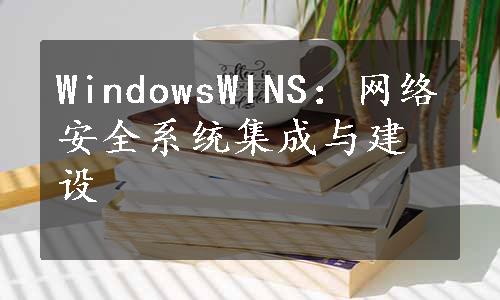 WindowsWINS：网络安全系统集成与建设