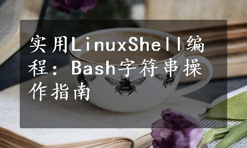 实用LinuxShell编程：Bash字符串操作指南