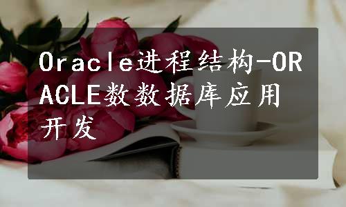 Oracle进程结构-ORACLE数数据库应用开发