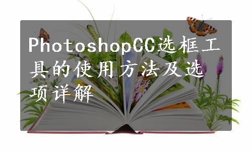 PhotoshopCC选框工具的使用方法及选项详解