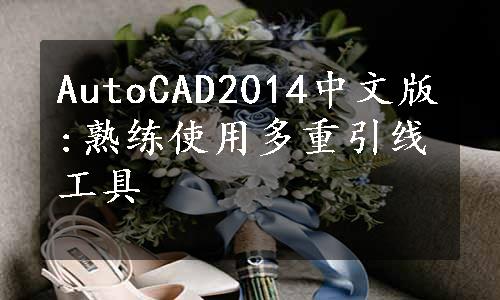 AutoCAD2014中文版:熟练使用多重引线工具