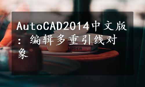 AutoCAD2014中文版：编辑多重引线对象