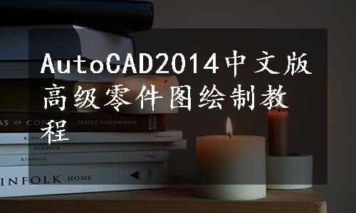 AutoCAD2014中文版高级零件图绘制教程