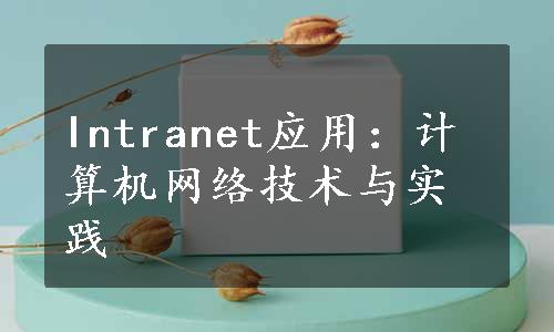 Intranet应用：计算机网络技术与实践