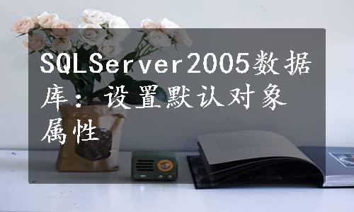 SQLServer2005数据库：设置默认对象属性