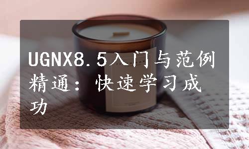 UGNX8.5入门与范例精通：快速学习成功