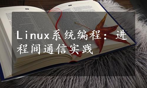 Linux系统编程：进程间通信实践