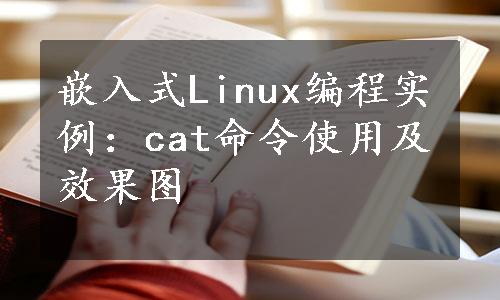 嵌入式Linux编程实例：cat命令使用及效果图