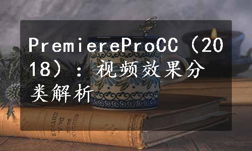 PremiereProCC（2018）：视频效果分类解析