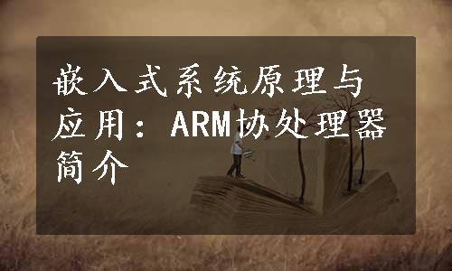 嵌入式系统原理与应用：ARM协处理器简介