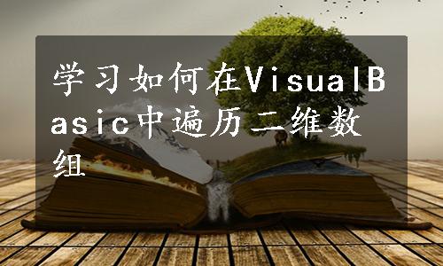 学习如何在VisualBasic中遍历二维数组