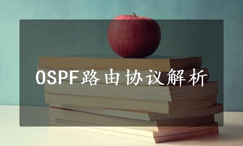 OSPF路由协议解析
