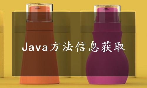 Java方法信息获取