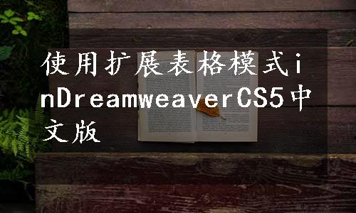 使用扩展表格模式inDreamweaverCS5中文版