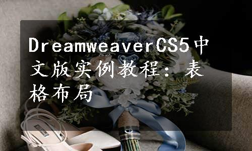 DreamweaverCS5中文版实例教程：表格布局