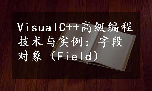 VisualC++高级编程技术与实例：字段对象（Field）
