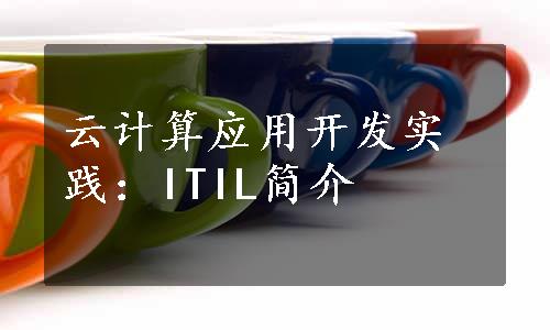云计算应用开发实践：ITIL简介