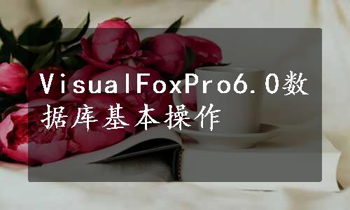 VisualFoxPro6.0数据库基本操作