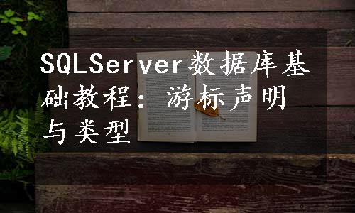 SQLServer数据库基础教程：游标声明与类型