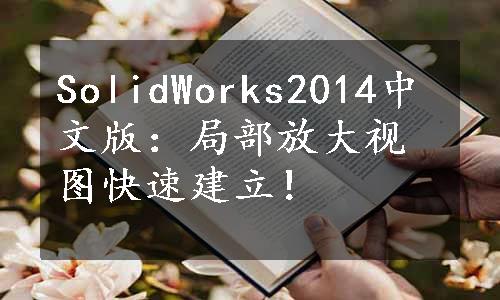 SolidWorks2014中文版：局部放大视图快速建立！