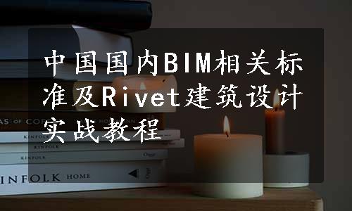 中国国内BIM相关标准及Rivet建筑设计实战教程