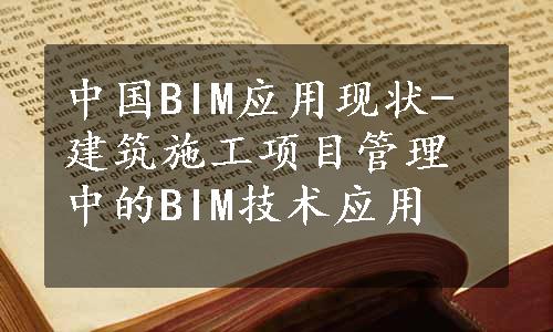 中国BIM应用现状-建筑施工项目管理中的BIM技术应用