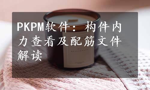 PKPM软件：构件内力查看及配筋文件解读