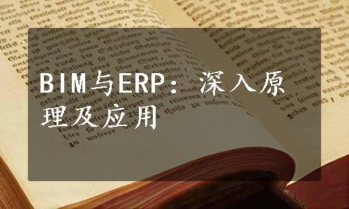 BIM与ERP：深入原理及应用