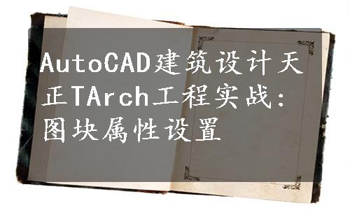AutoCAD建筑设计天正TArch工程实战:图块属性设置