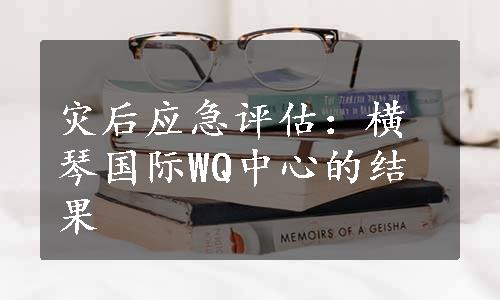 灾后应急评估：横琴国际WQ中心的结果